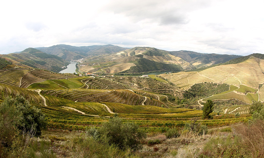 Portugalsko udoli Douro (2)